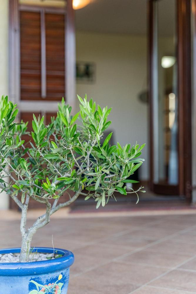 Apartment Elio 1606 Labin  Εξωτερικό φωτογραφία